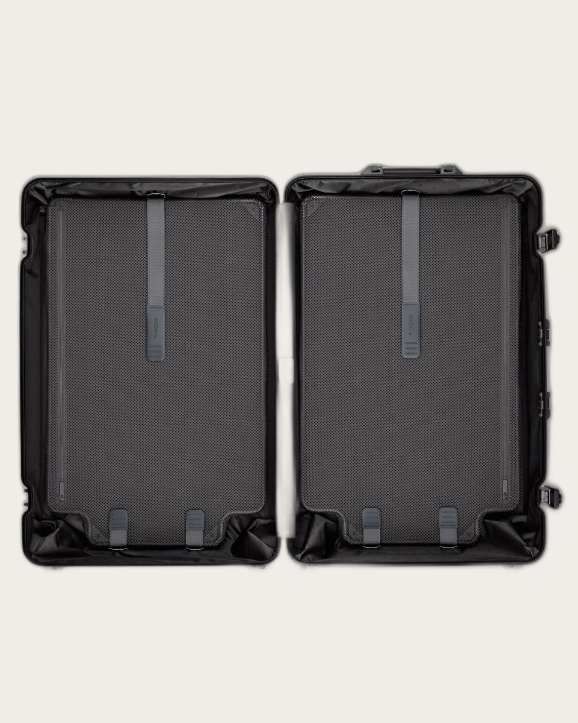 Check-In L - vue 3